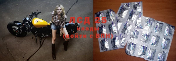 спиды Армянск