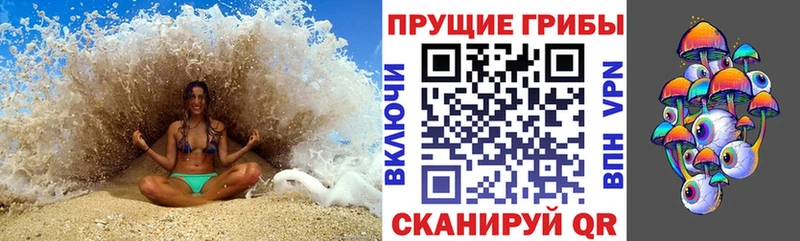 кракен онион  где купить наркоту  Валдай  Галлюциногенные грибы GOLDEN TEACHER 